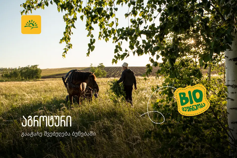 აგროტურები საქართველოში